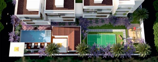  skandha-amoris Others