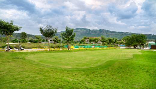 the-earth Elevation Elevation