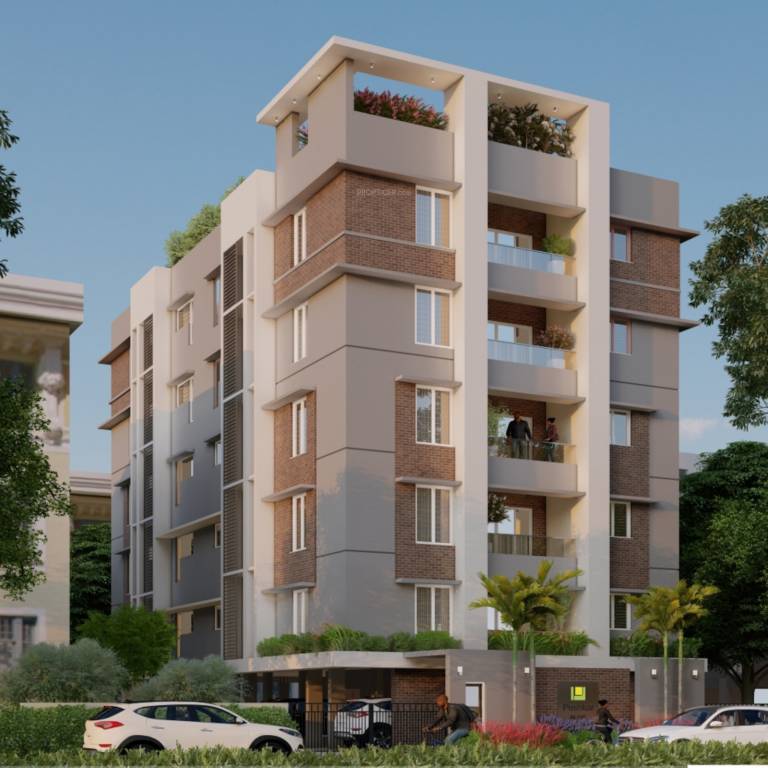 Elevation golden glow Elevation