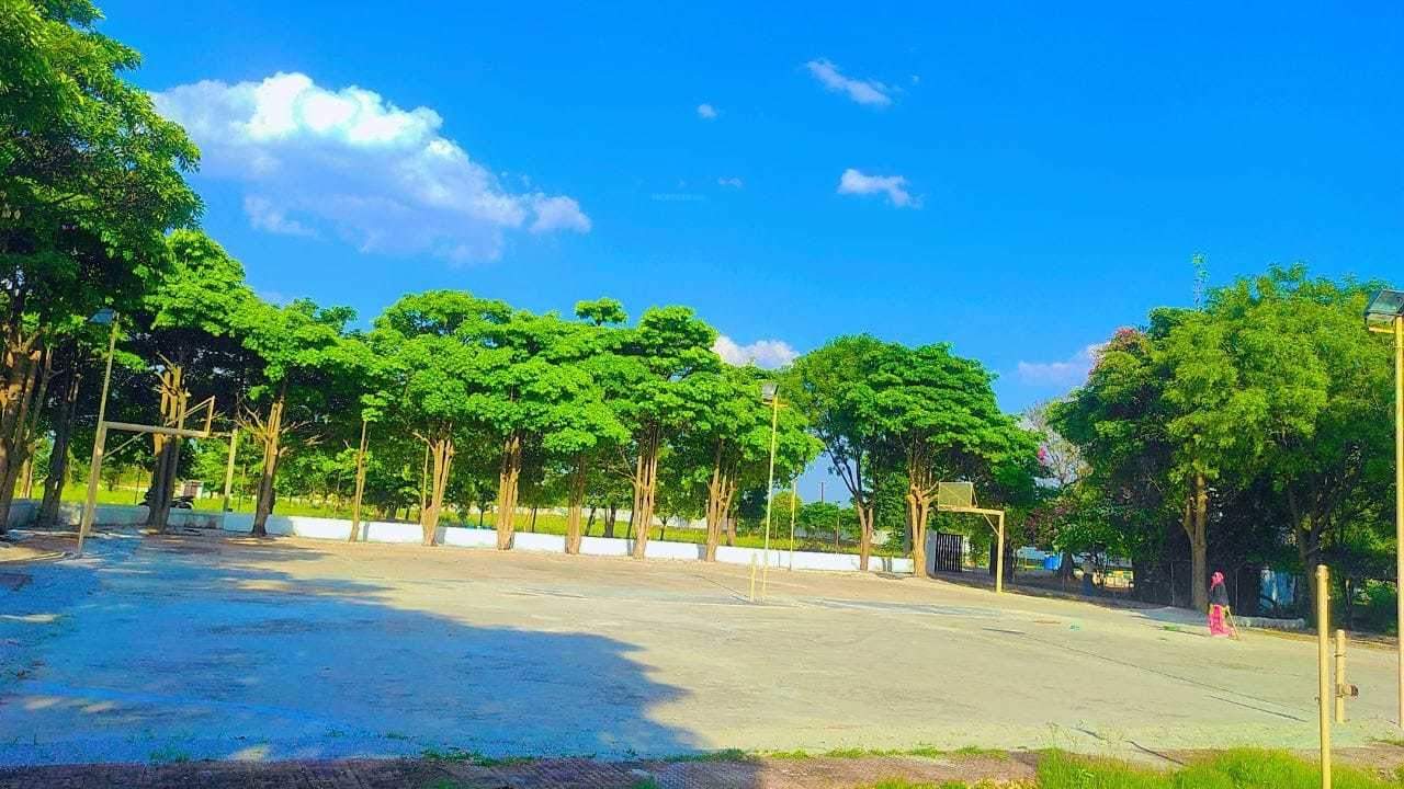  rainbow oxygen villa Landscape Garden and Tree Planting