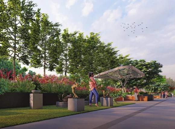  fuji halcyon Flower Garden