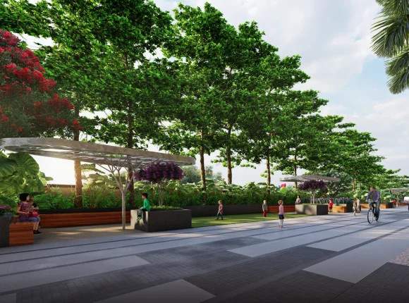  fuji halcyon Landscape Garden and Tree Planting