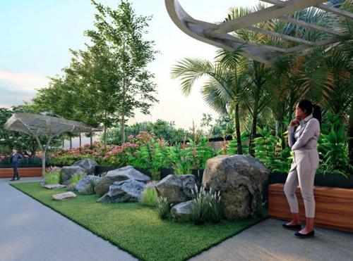  fuji-halcyon Landscape Garden and Tree Planting