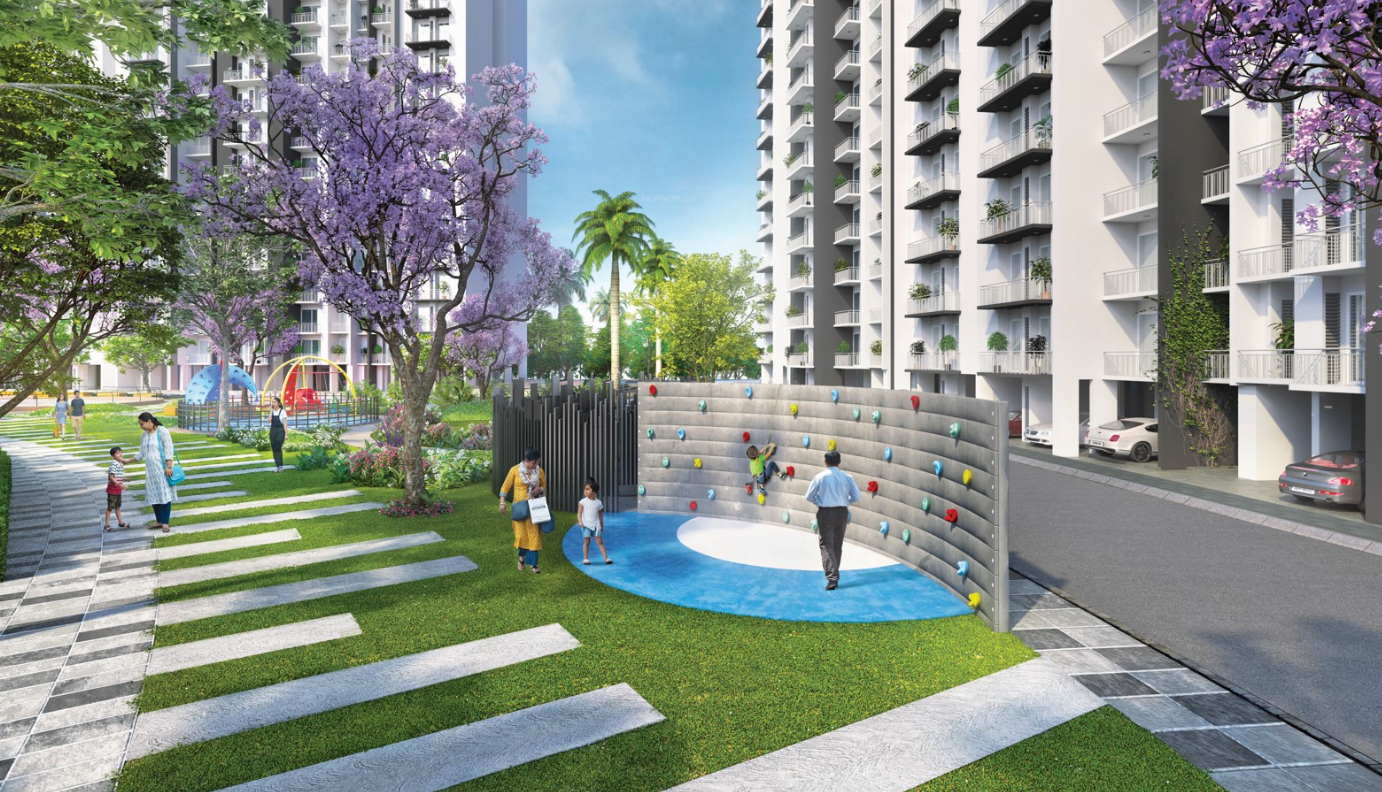 the greens Wall Climbing