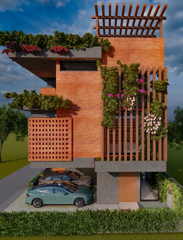  golden sand Elevation