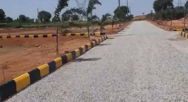  srinithi-blooms Plot