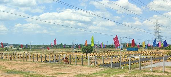  mother-land Elevation