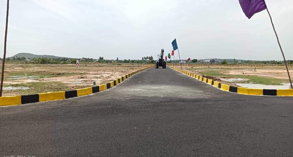  mother land Plot
