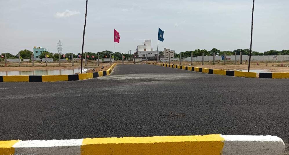  mother land Plot