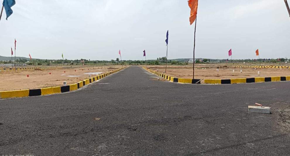  mother land Plot
