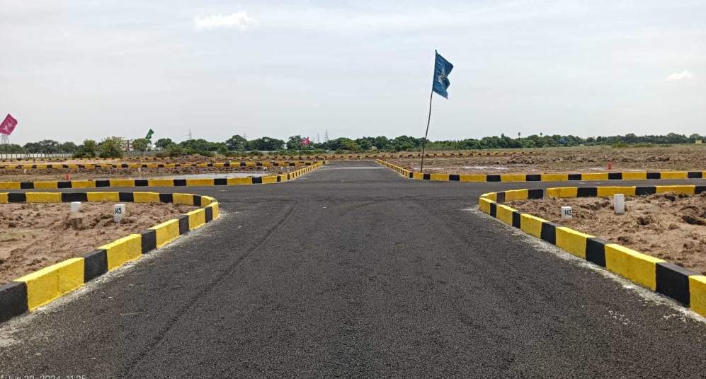  mother land Plot