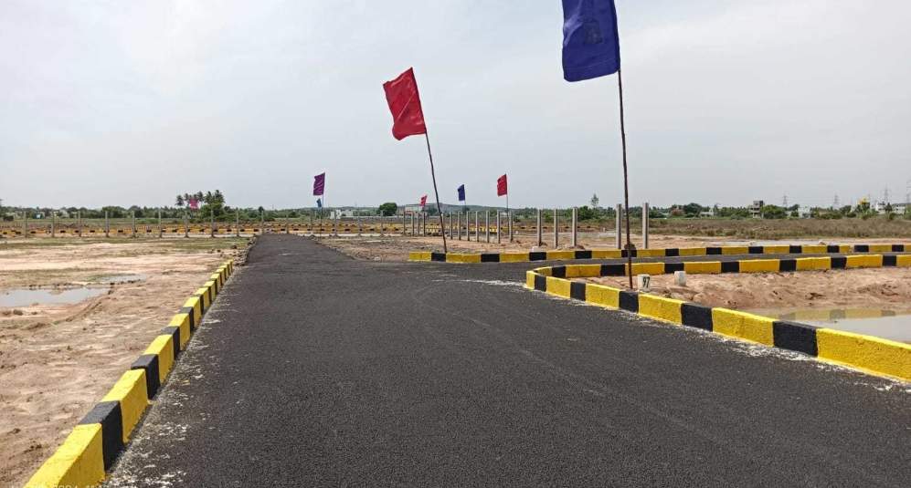  mother land Plot
