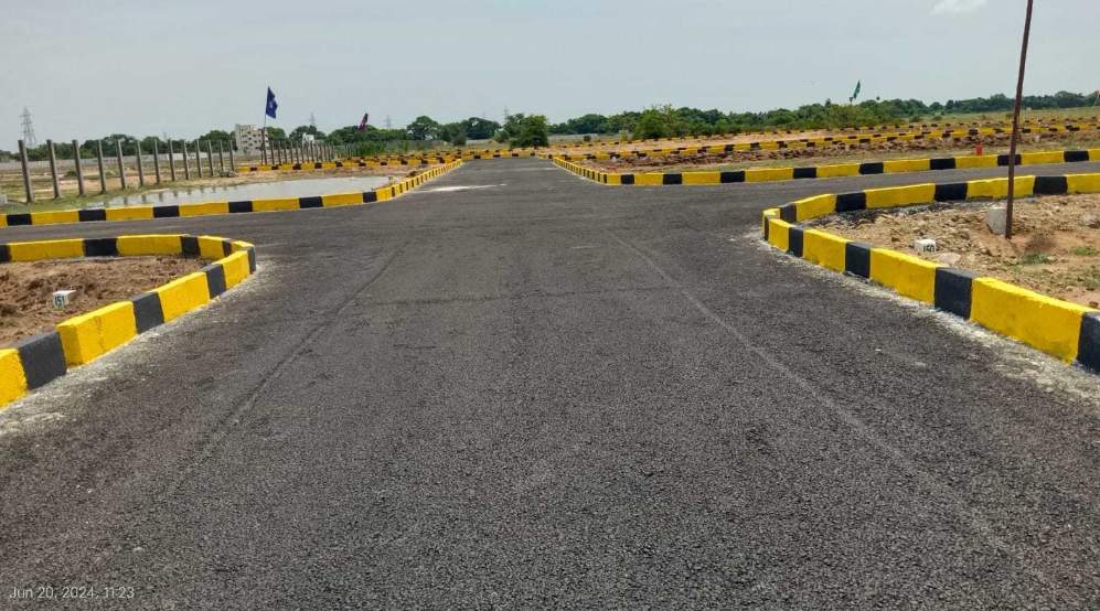 mother land Plot