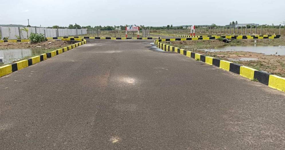  mother land Plot