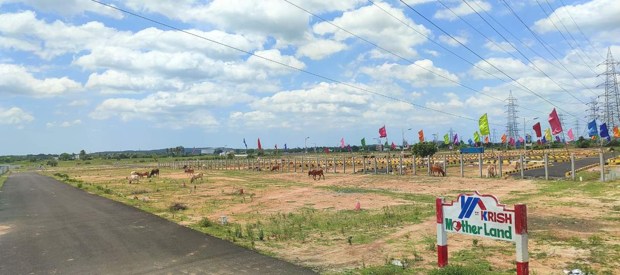  mother land Plot