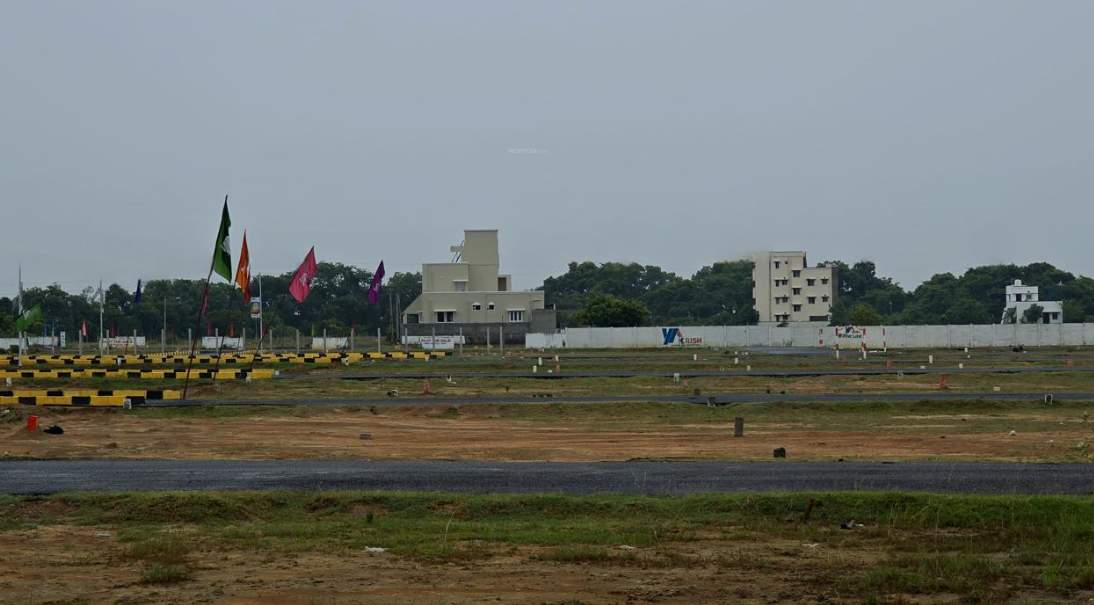  mother land Plot