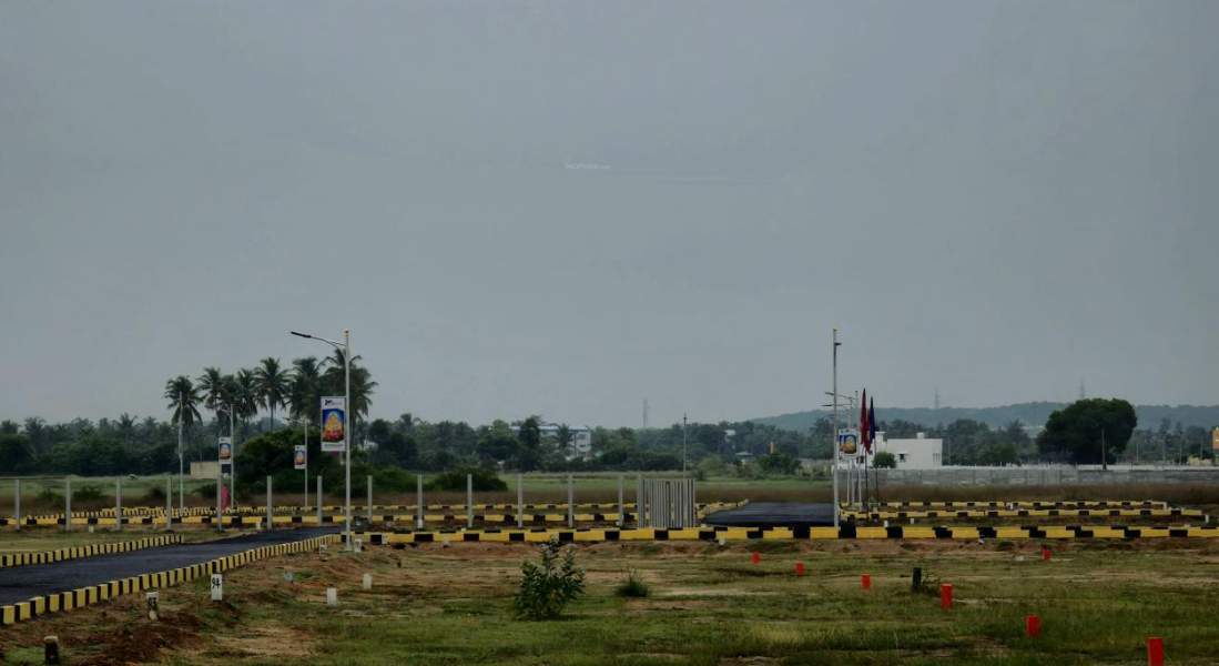  mother land Plot