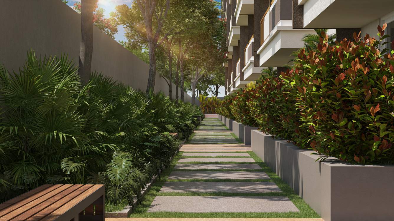  rr wish tales Others