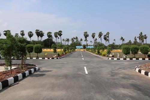  fortune-signature-city Landscape Garden and Tree Planting