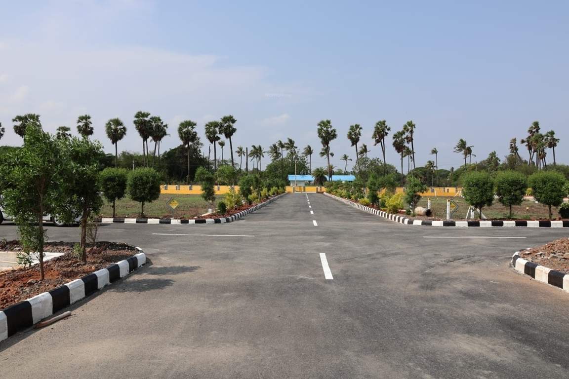  fortune signature city Landscape Garden and Tree Planting