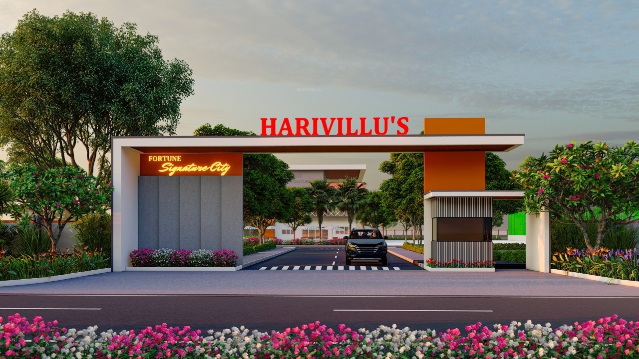  fortune signature city Plot