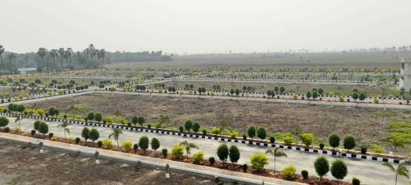  fortune-signature-city Plot