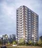 24 Carat Gold Coin Apartment