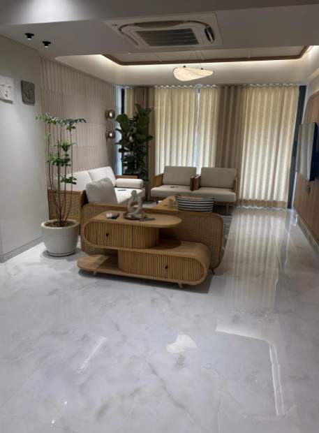  24 carat gold coin apartment Living Area