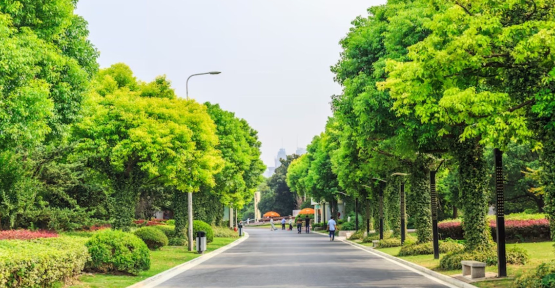 gulmohar Internal Roads