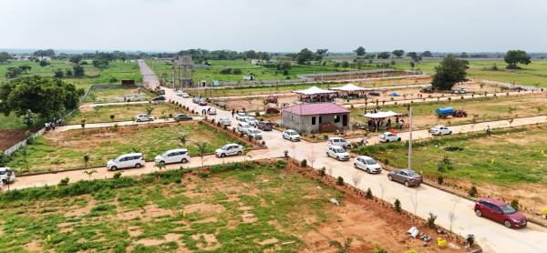  golden-galaxy Elevation