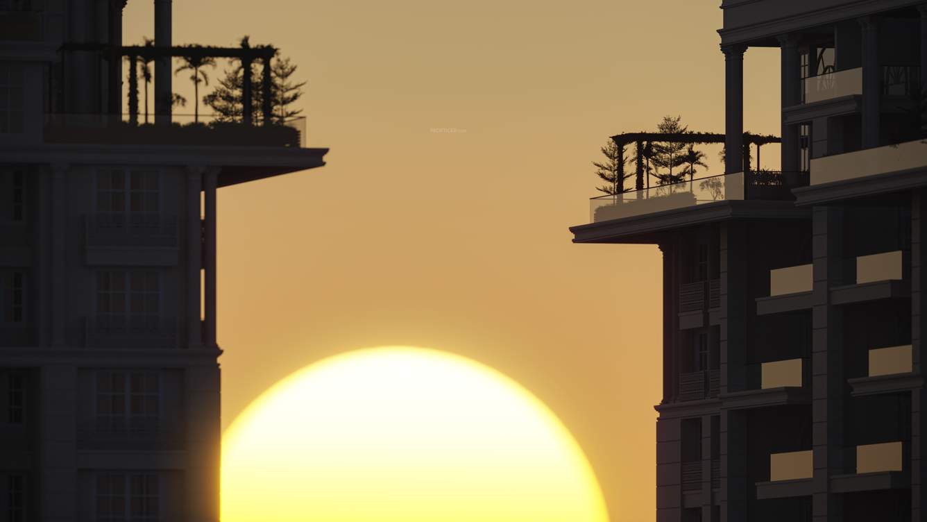  the palace Elevation