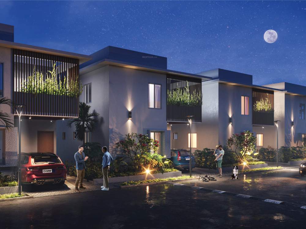  south meadows 1 Elevation