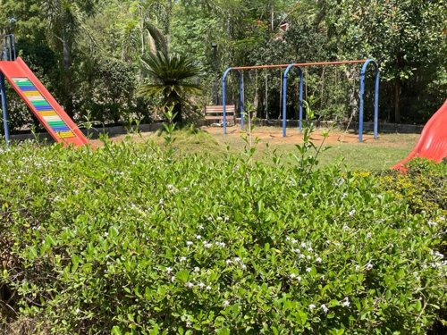  garden Children's play area