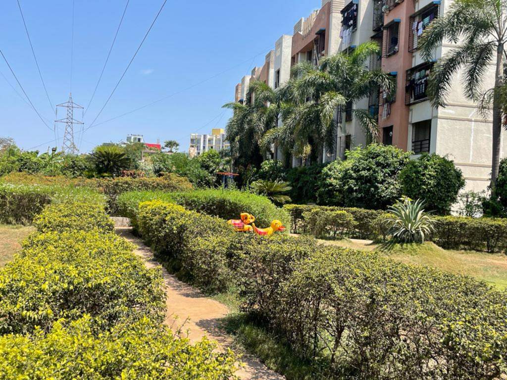  garden Landscape Garden and Tree Planting