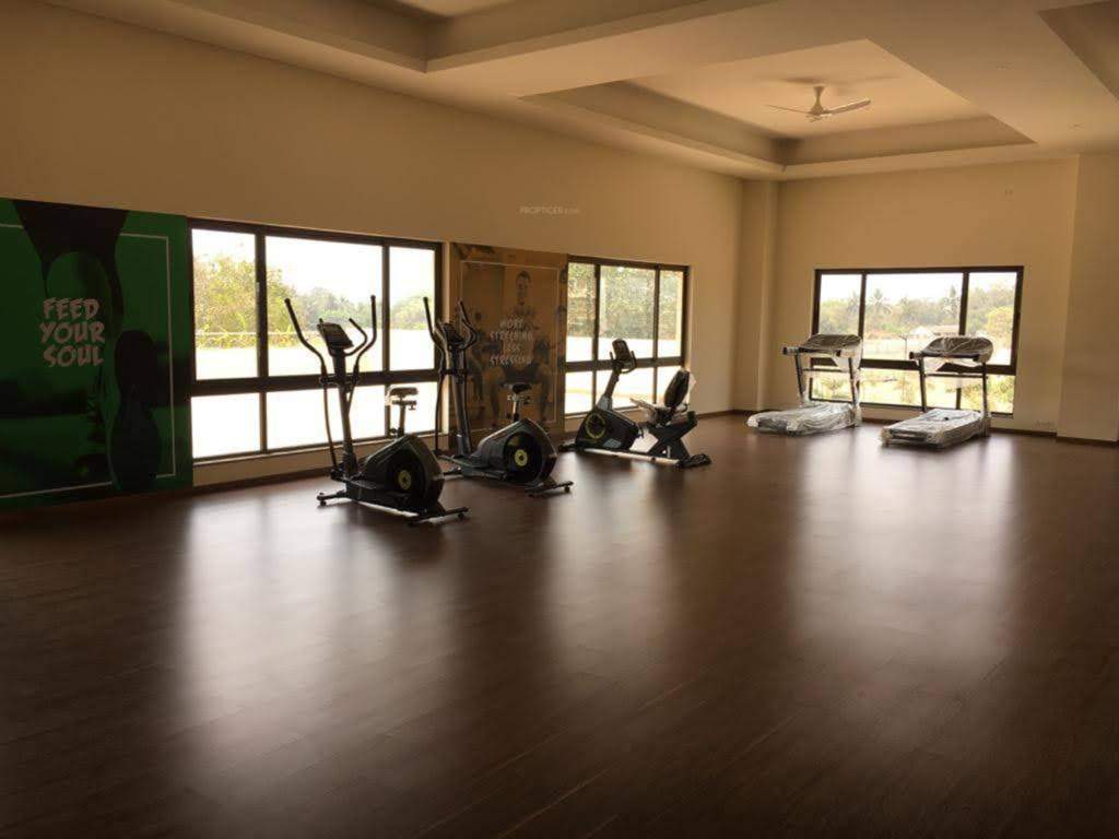  eden phase 4 Gymnasium