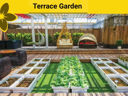  youthika Terrace Garden