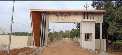  golden-orchids Elevation