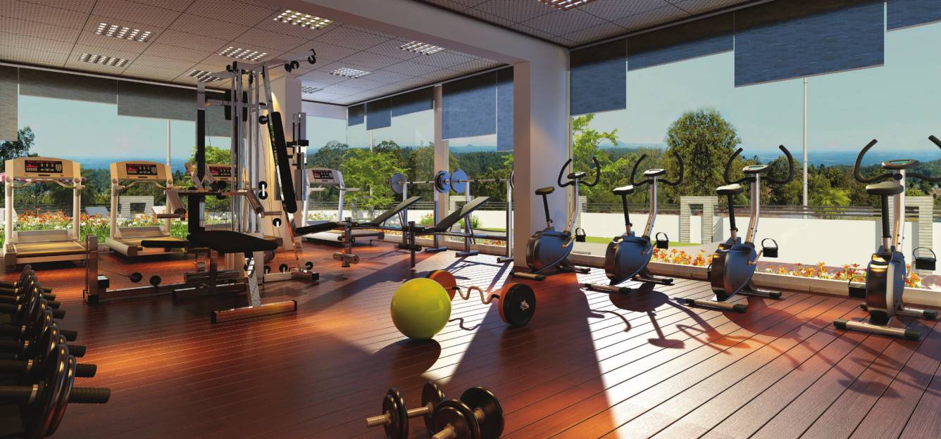 sapphire dotom isle Gymnasium