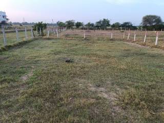 Project Image Project Image