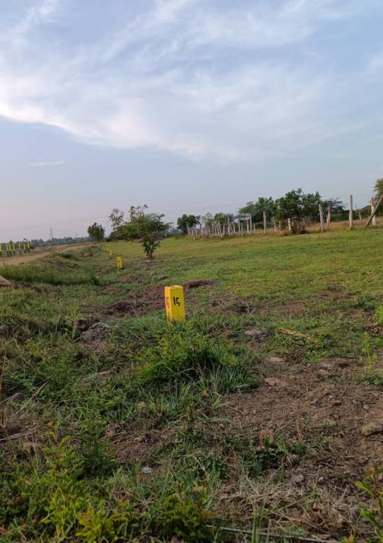  ramanujam nagar Plot