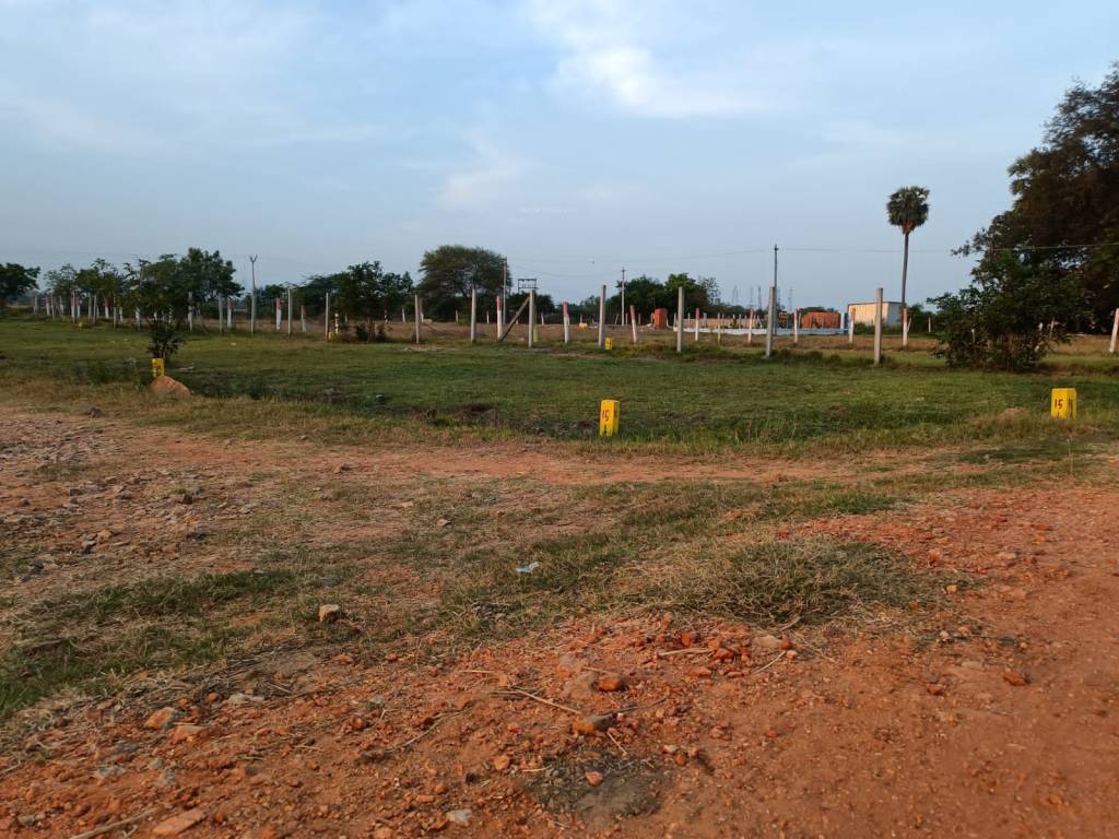  ramanujam nagar Plot
