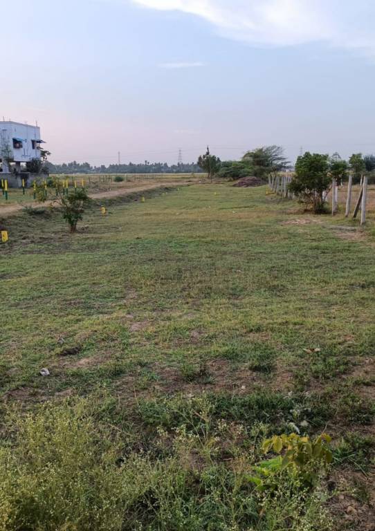  ramanujam nagar Plot