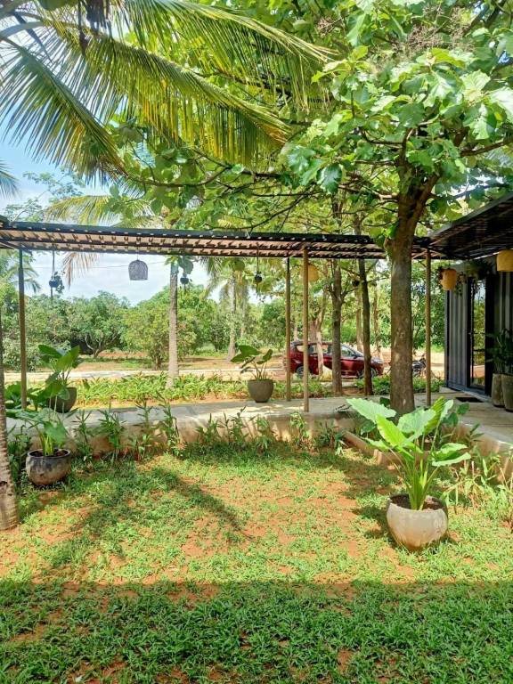  hara north one Others