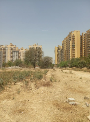  lansdowne Construction Status Dec-24