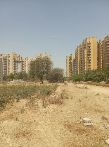  lansdowne Construction Status Dec 24