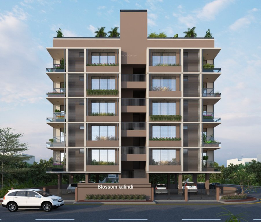  blossom kalindi Elevation