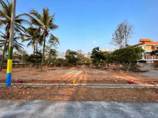 Project Image Project Image