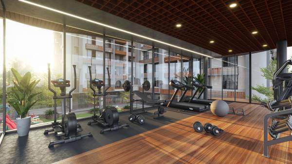  imperia-grace Gymnasium