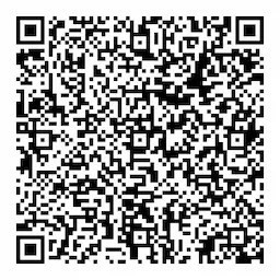 QR Image