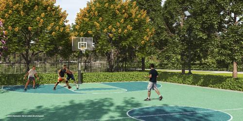  country-estate Basketball Court